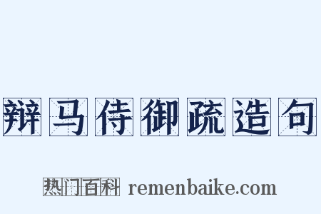 辩马侍御疏造句是什么意思的图片